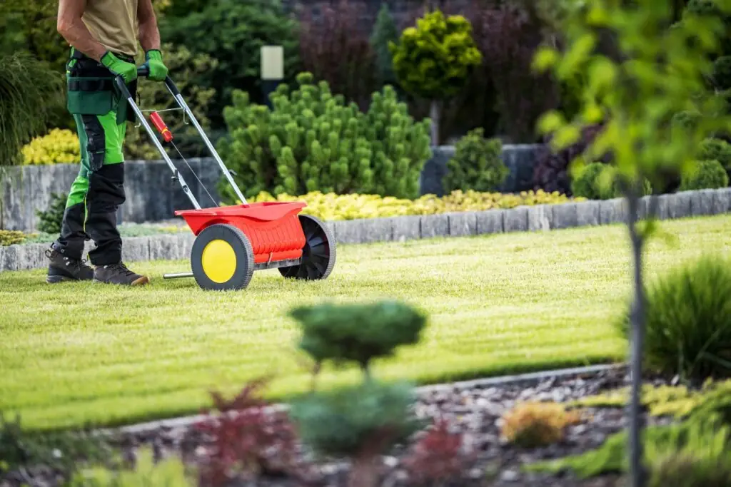 Lawn Fertilization Treatment
